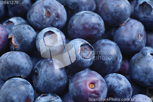 Image of Blueberries