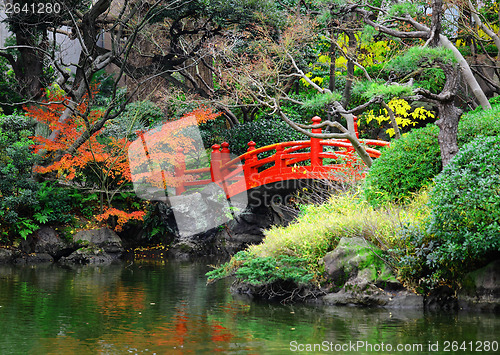 Image of Japanese garden