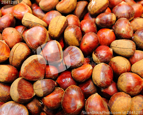 Image of Chestnut