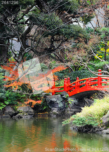 Image of Red bridge in Japanese garden