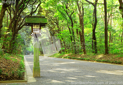 Image of Footpath in Japanese garden