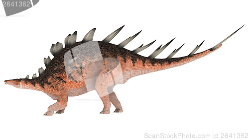 Image of Dinosaur Kentrosaurus