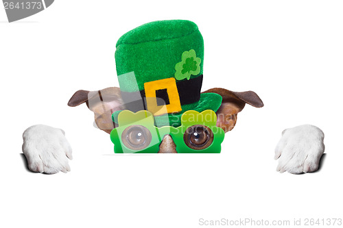 Image of st patricks  day dog 