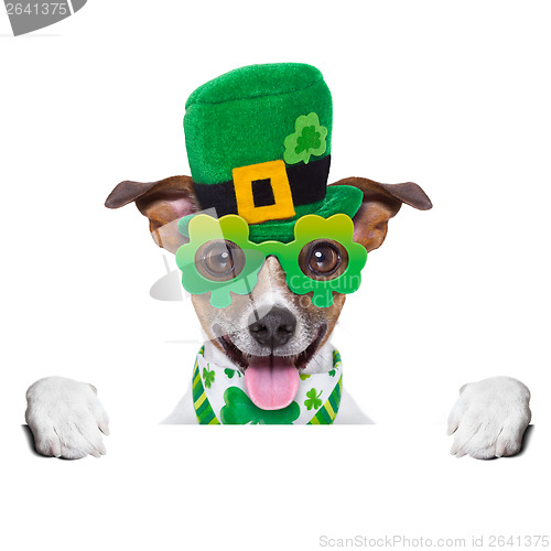 Image of st patricks  day dog 