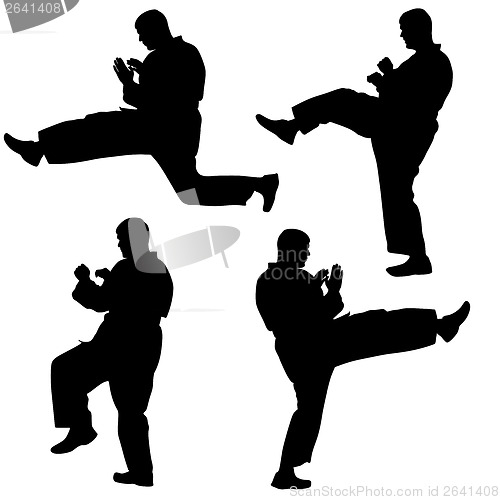 Image of Set of black silhouettes of karate. Sport vector illustration.
