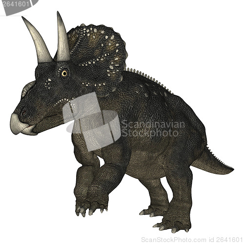 Image of Dinosaur Diceratops