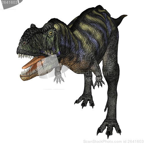 Image of Dinosaur Aucasaurus