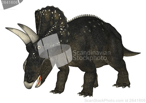 Image of Dinosaur Diceratops