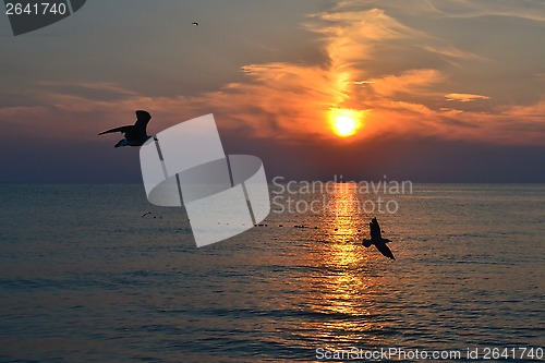 Image of Beautiful sunset over the sea.