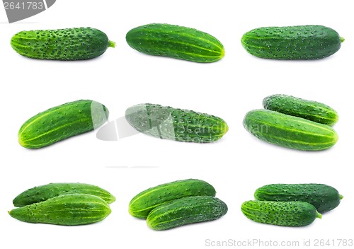 Image of Cucumbers