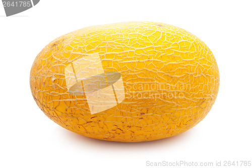 Image of Melon