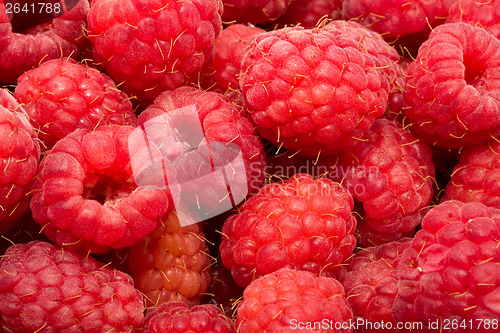 Image of Raspberries