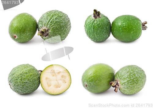 Image of Feijoa