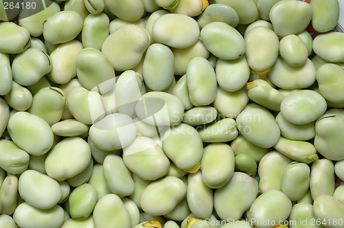 Image of Broad Bean