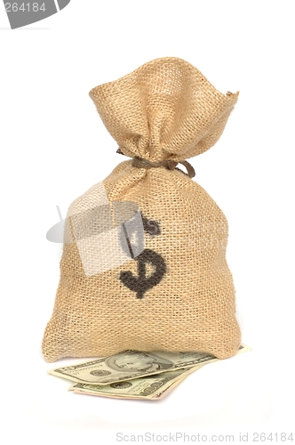 Image of Money Bag