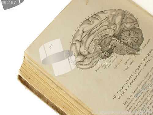 Image of old anatomy book