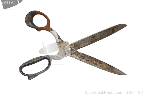 Image of Scissors