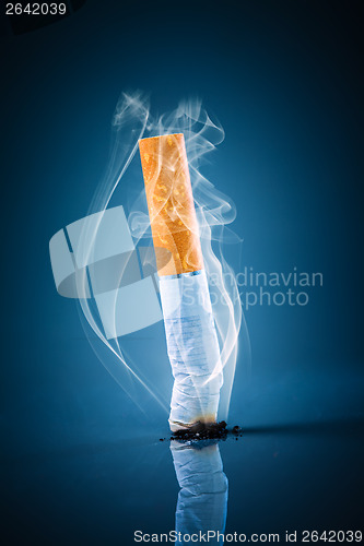 Image of Cigarette butt - No smoking.