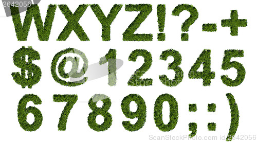 Image of Green grass type set 