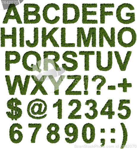 Image of Green grass type set 