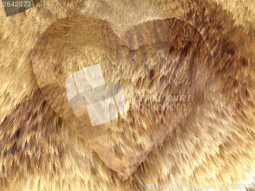 Image of Heart shape on fox fur pattern