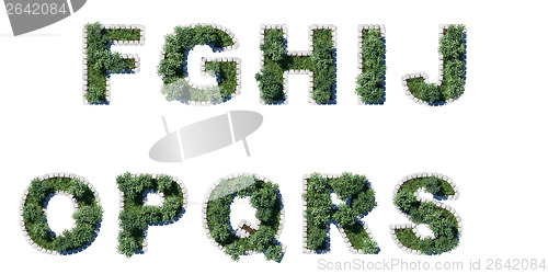 Image of Trees and grass font with grey cubing border