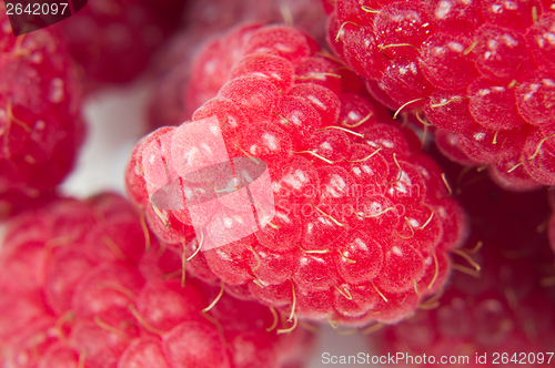 Image of Macro shot of raspberry