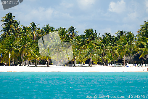 Image of Island with beautiful beach