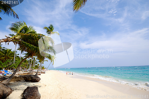 Image of Caribbean beach with palm and white sand