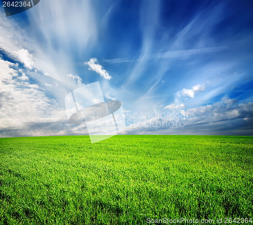 Image of Green field abstract