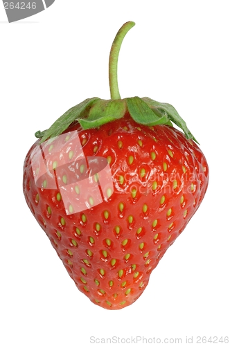 Image of Strawberry