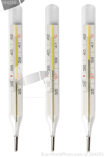 Image of Thermometers