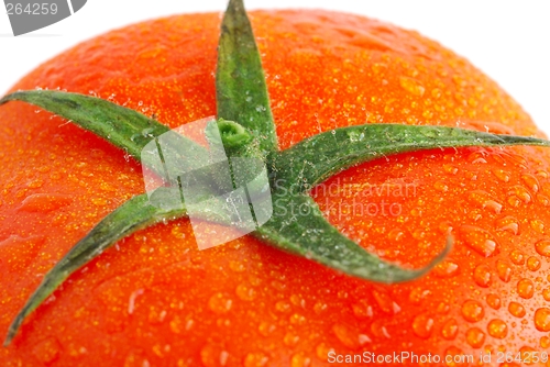 Image of Tomato