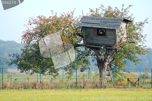 Image of Tree House