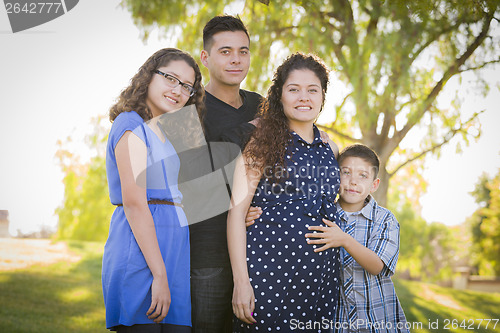 Image of Happy Attractive Hispanic Family With Their Pregnant Mother Outd