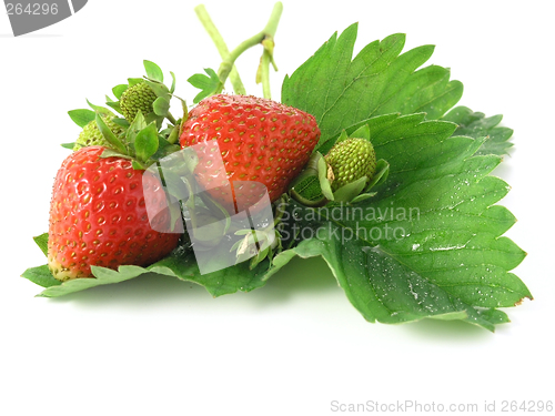 Image of strawberries