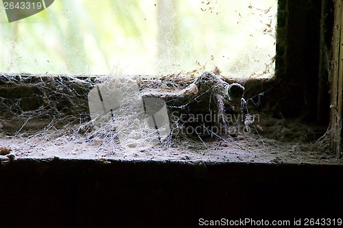 Image of cobweb covered window sill and handle