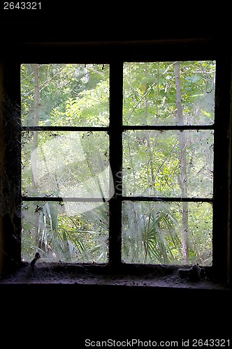 Image of in spooky dark room looking out