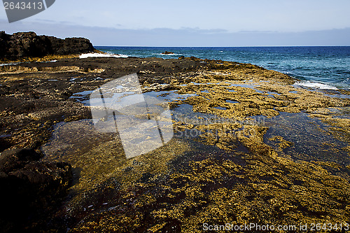 Image of rock stone  coastline and summer in lanzarote spain