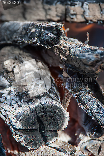 Image of firewood