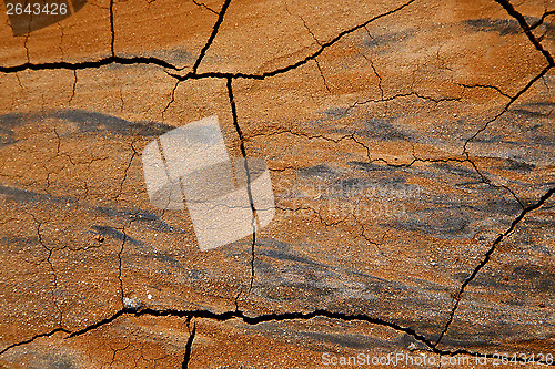 Image of  spain abstract texture of a broke dry sand and lichens 