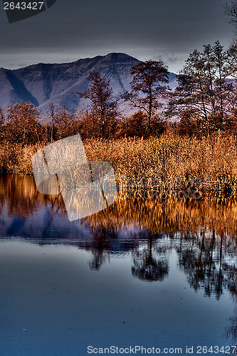 Image of abstract  and marsh moor  