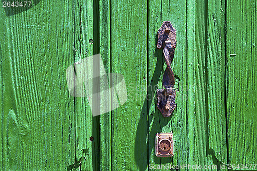 Image of brown knocker in a lanzarote abstract  spain 
