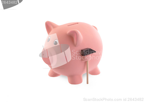 Image of Unique pink ceramic piggy bank