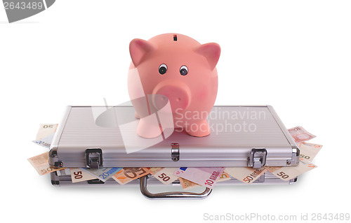 Image of Piggy bank on top of metal case filled with money