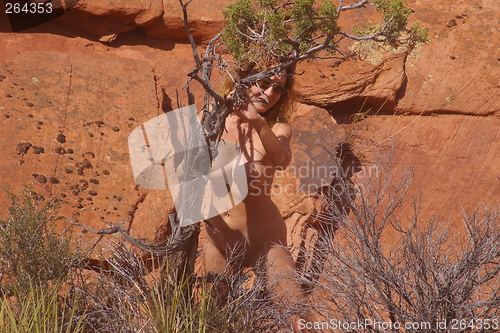 Image of Desert Girl E