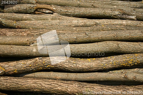 Image of Heap of long wooden logs