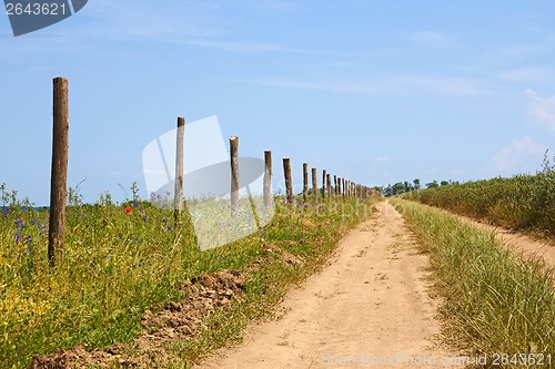 Image of Wooden columns near the dirt rural road