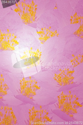 Image of Floral Background of Pink Flowers