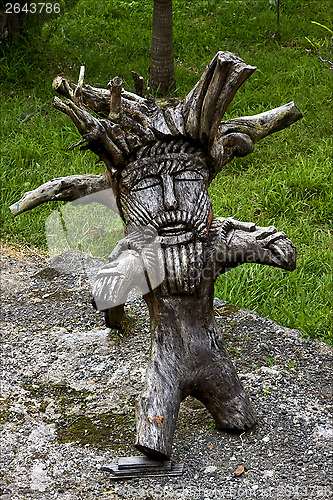 Image of piece of wood in  mauritius garden